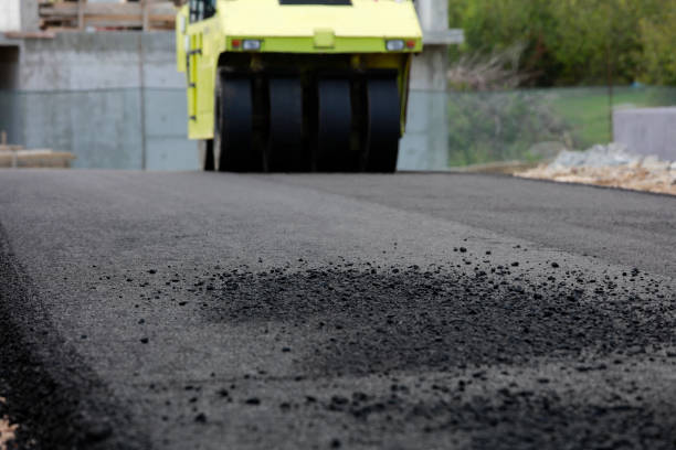 Best Decorative Driveway Pavers  in Preston, MN