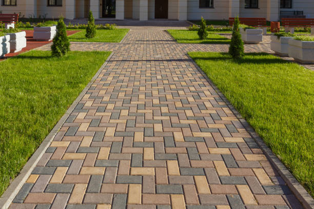 Best Driveway Paving Contractor  in Preston, MN