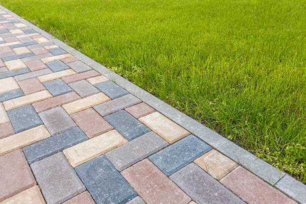 Best Driveway Paving Contractor  in Preston, MN